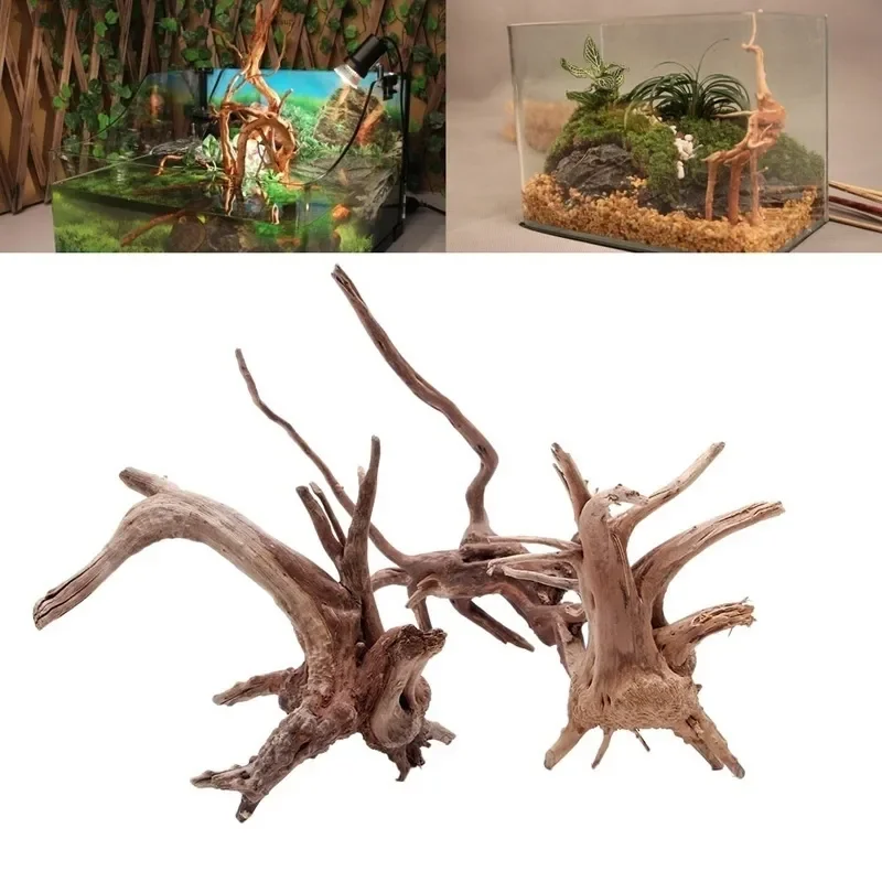 Aquarium Fish Diseases - Natural Tree Trunk Driftwood Aquarium Fish