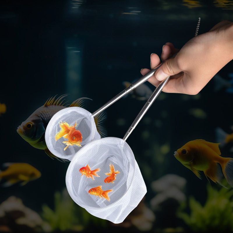 (BF06)Aquarium Fish Fishing Ne - Aquarium Fish Quarantine review and price