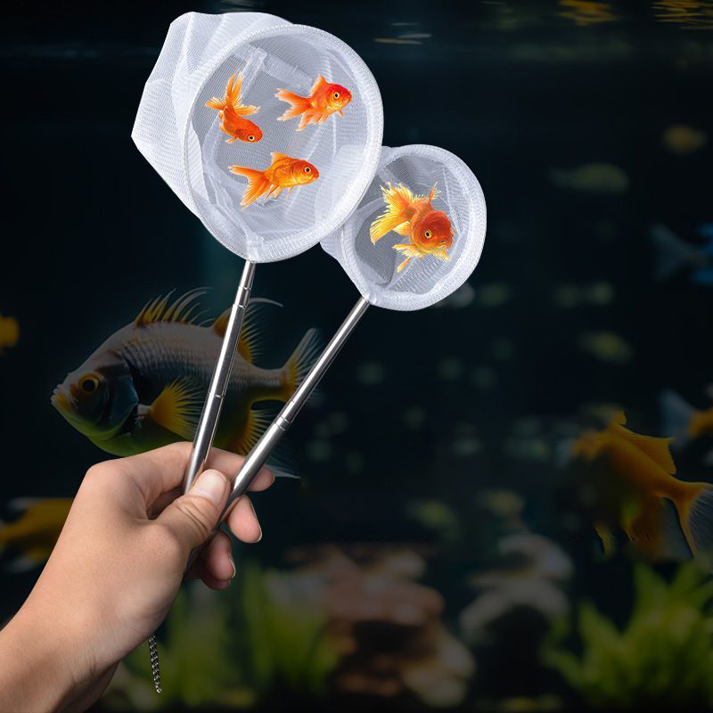(BF06)Aquarium Fish Fishing Ne - Aquarium Fish Quarantine review and price
