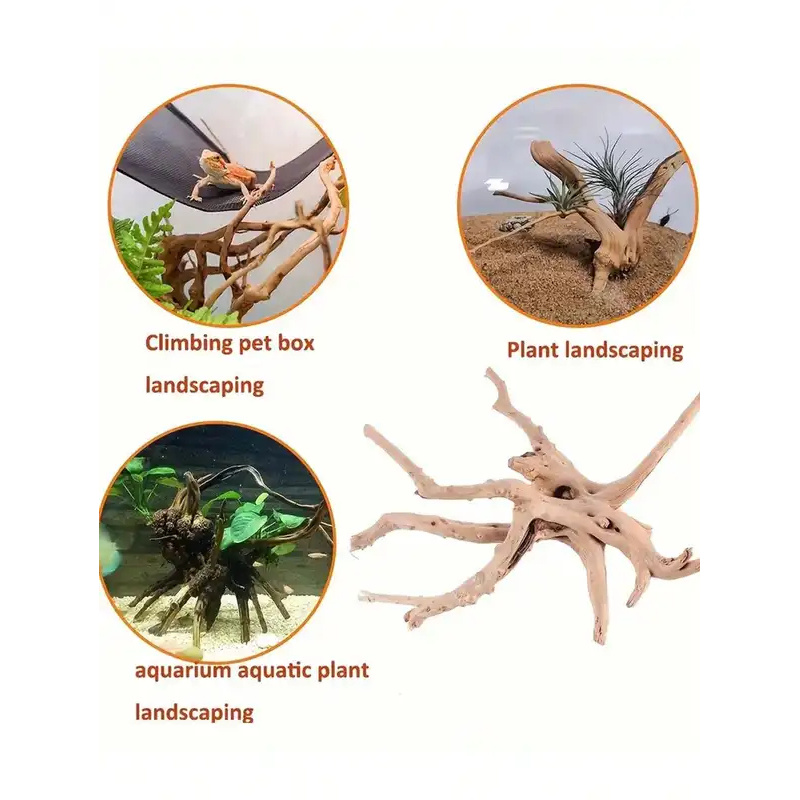 Natural Driftwood for Aquarium - Aquarium Fish Diseases review and price