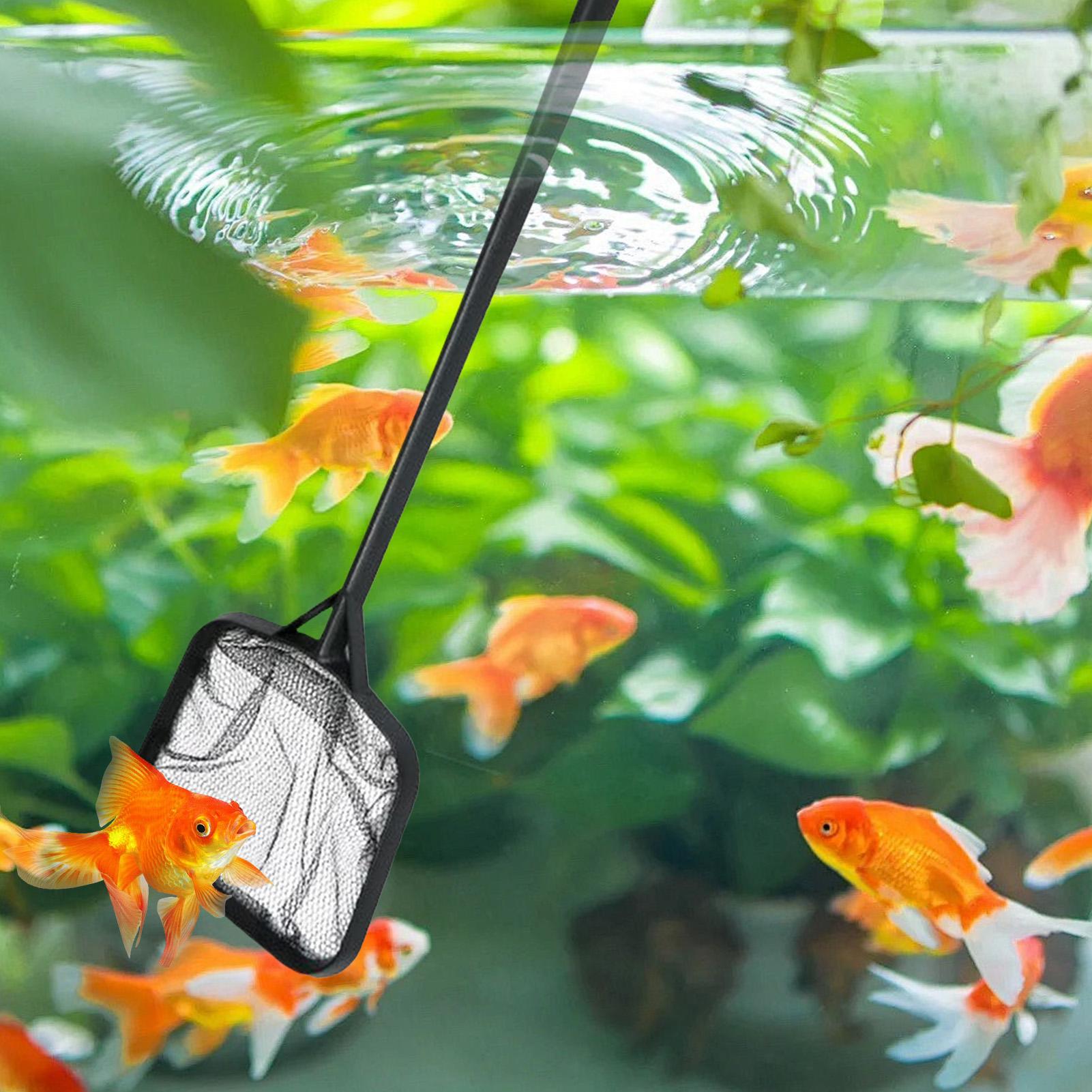 Pool Nets for Cleaning Portabl - Aquarium Fish Buy review and price
