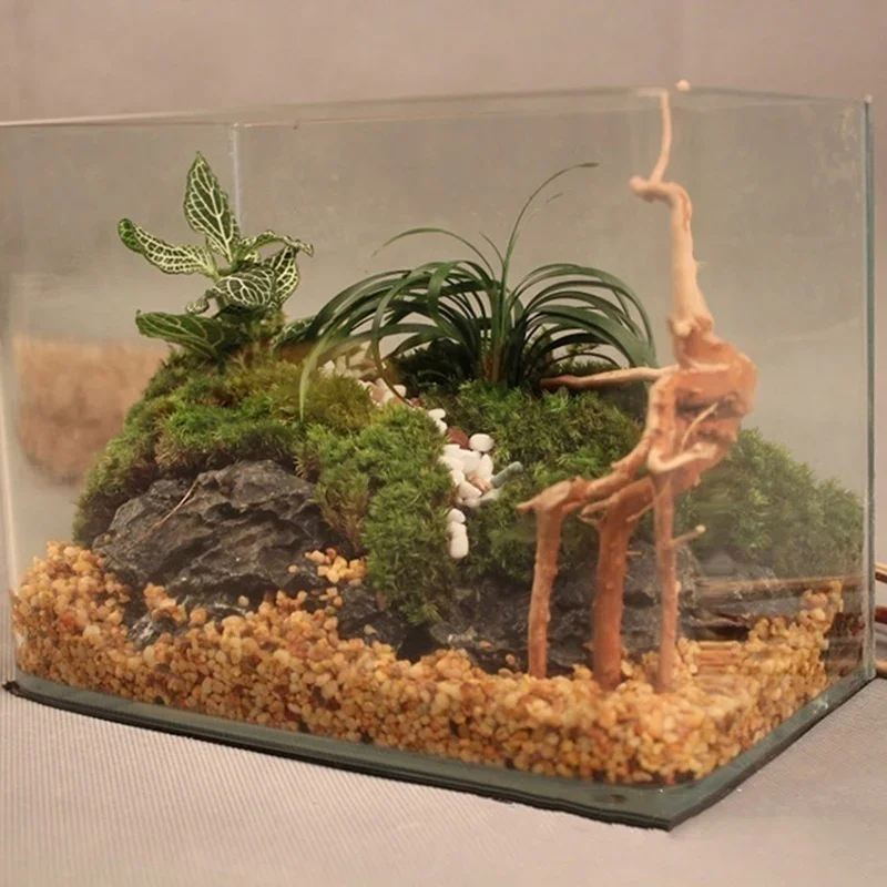 Natural Tree Trunk Driftwood A - Aquarium Fish Diseases review and price