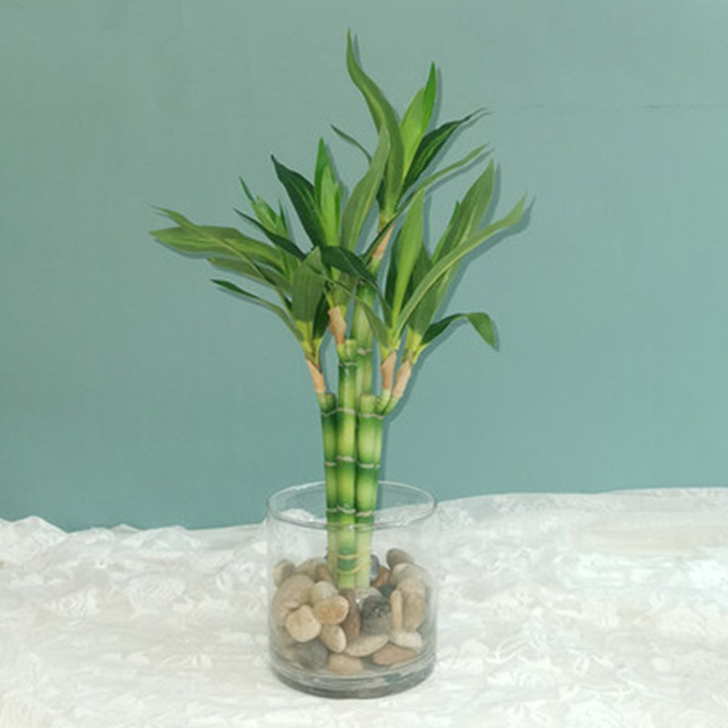 New 40cm rFtificial Lucky Bamb - Aquarium Fish Buy review and price
