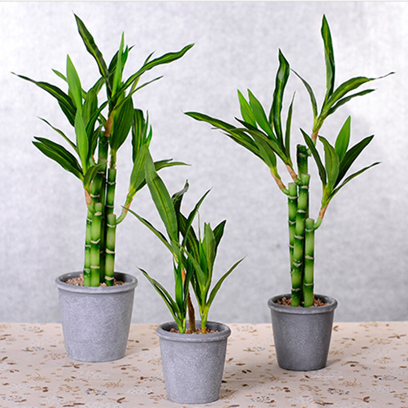 New 40cm rFtificial Lucky Bamb - Aquarium Fish Buy review and price