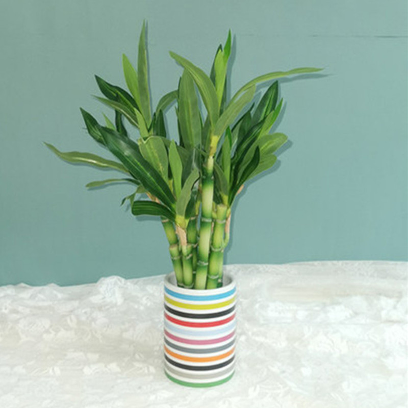 New 40cm rFtificial Lucky Bamb - Aquarium Fish Buy review and price