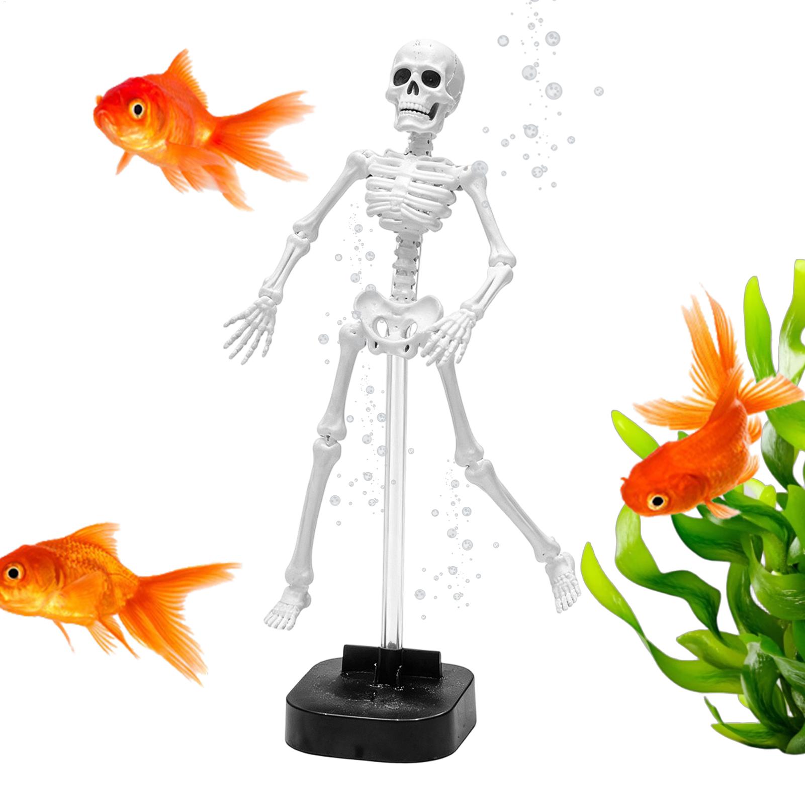 Aquarium Skeleton Decor Hallow - Aquarium Fish Diseases review and price