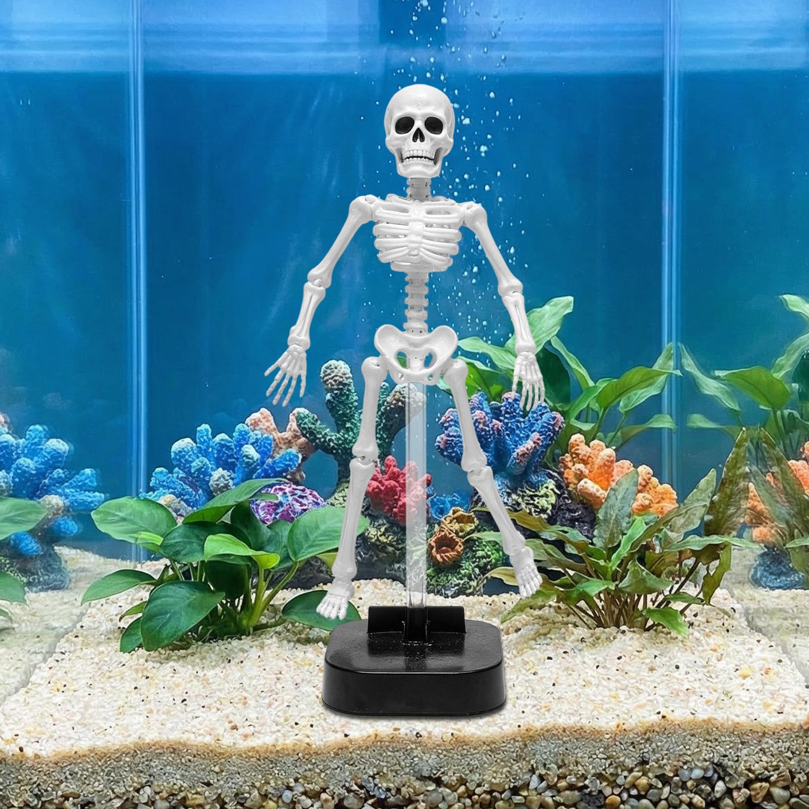 Aquarium Skeleton Decor Hallow - Aquarium Fish Diseases review and price