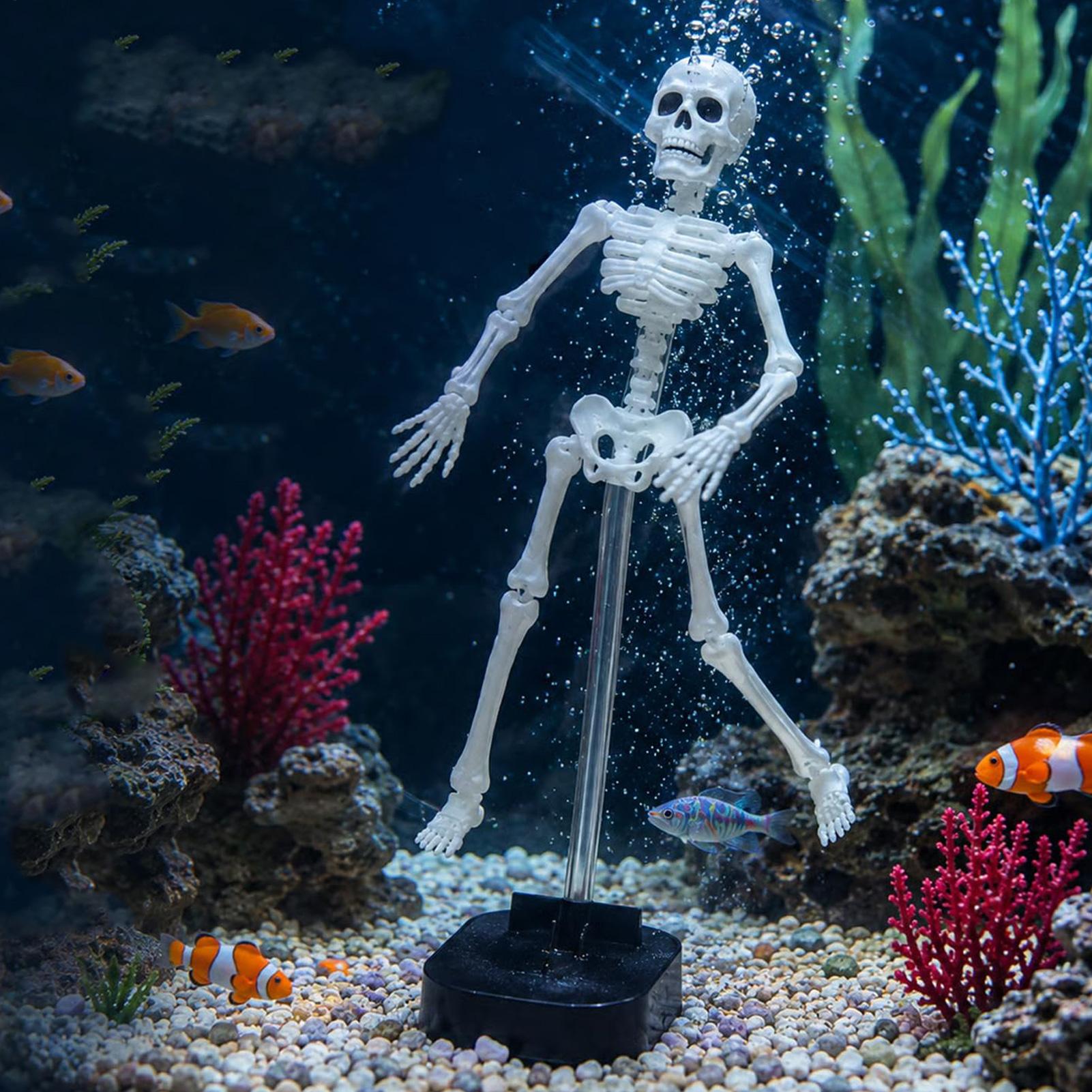 Aquarium Skeleton Decor Hallow - Aquarium Fish Diseases review and price
