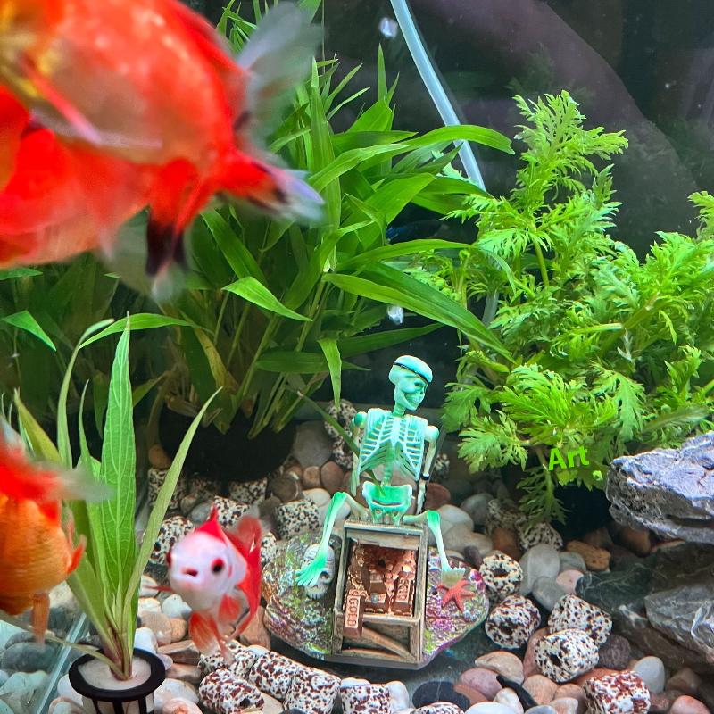 Fish Tank Aerobic Landscape Bu - Aquarium Fish Diseases review and price