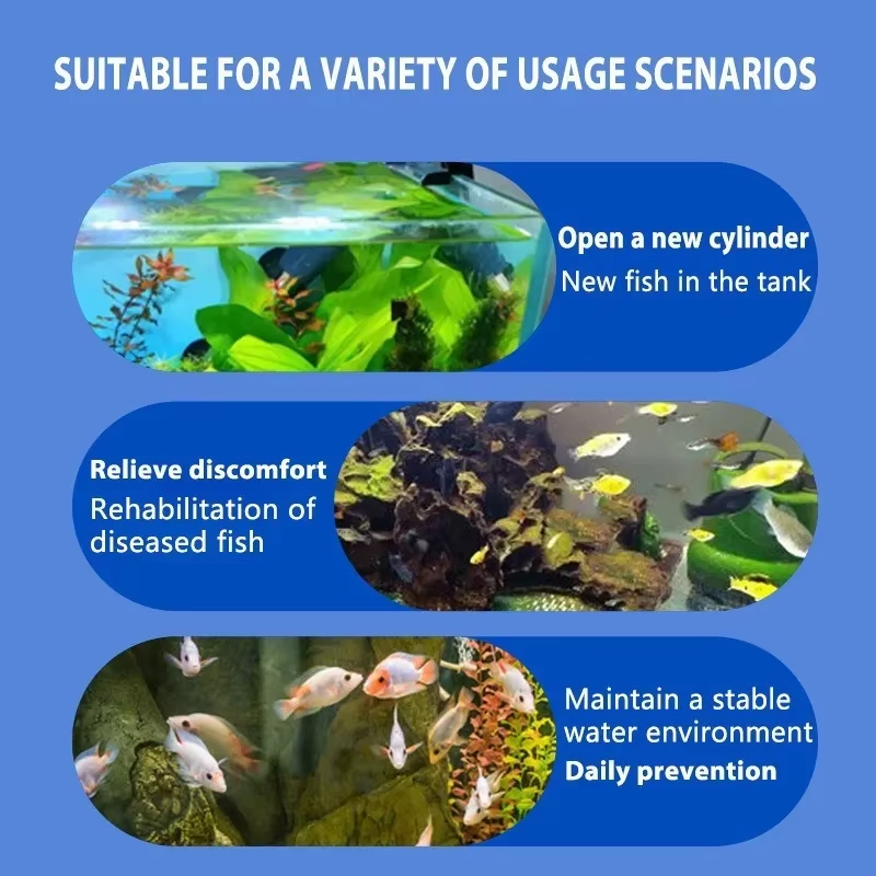 SIKEZHAN Fish Disease Treatmen - Aquarium Fish Diseases review and price