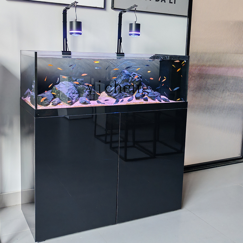 U1  native wild stream tank Sa - Wild Aquarium Fish review and price