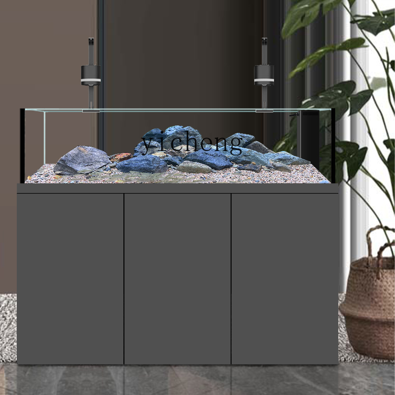 U1  native wild stream tank Sa - Wild Aquarium Fish review and price