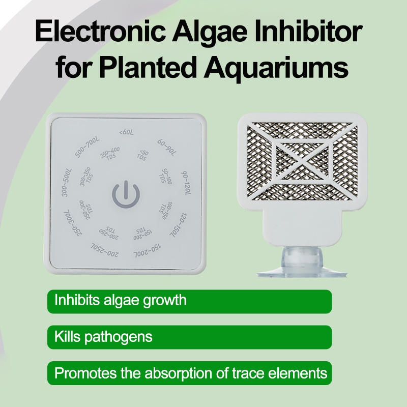 Electronic Aquarium Fish Tank  - Aquarium Fish Quarantine review and price