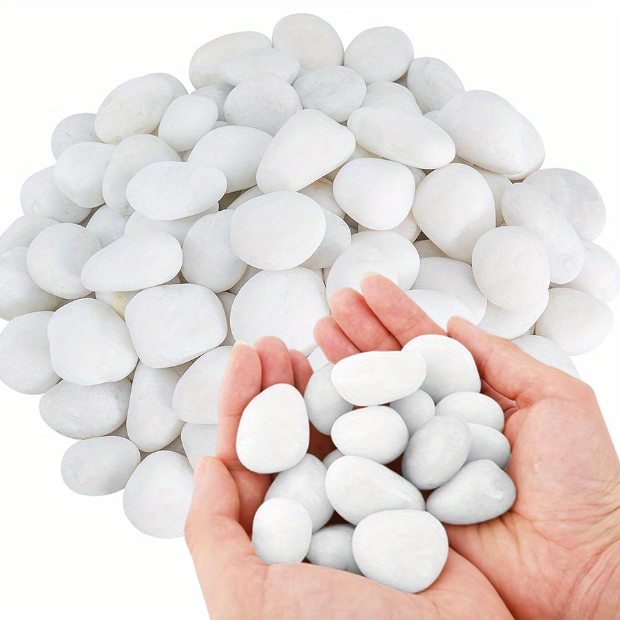 200/400g White High Polished N - Aquarium Fish Buy review and price