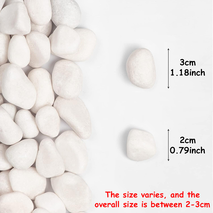 200/400g White High Polished N - Aquarium Fish Buy review and price