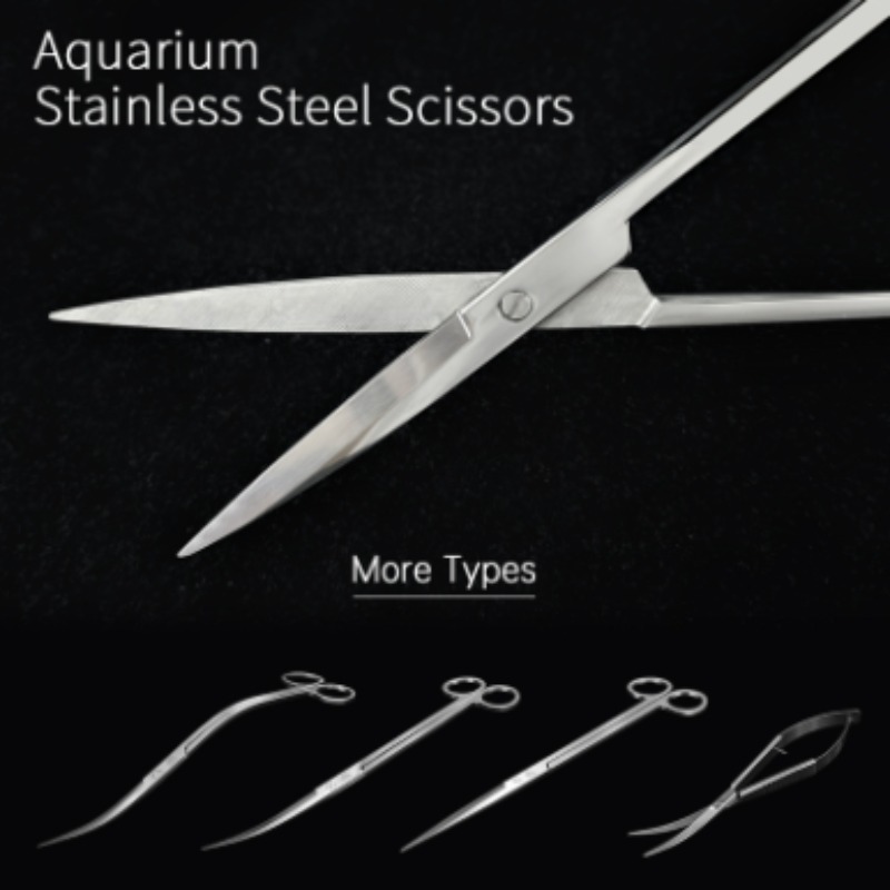 Week Aqua Stainless Steel Aqua - Aquarium Fish Quarantine review and price