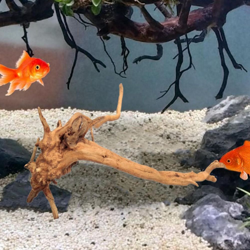 Natural Tree Trunk Aquarium De - Aquarium Fish Diseases review and price