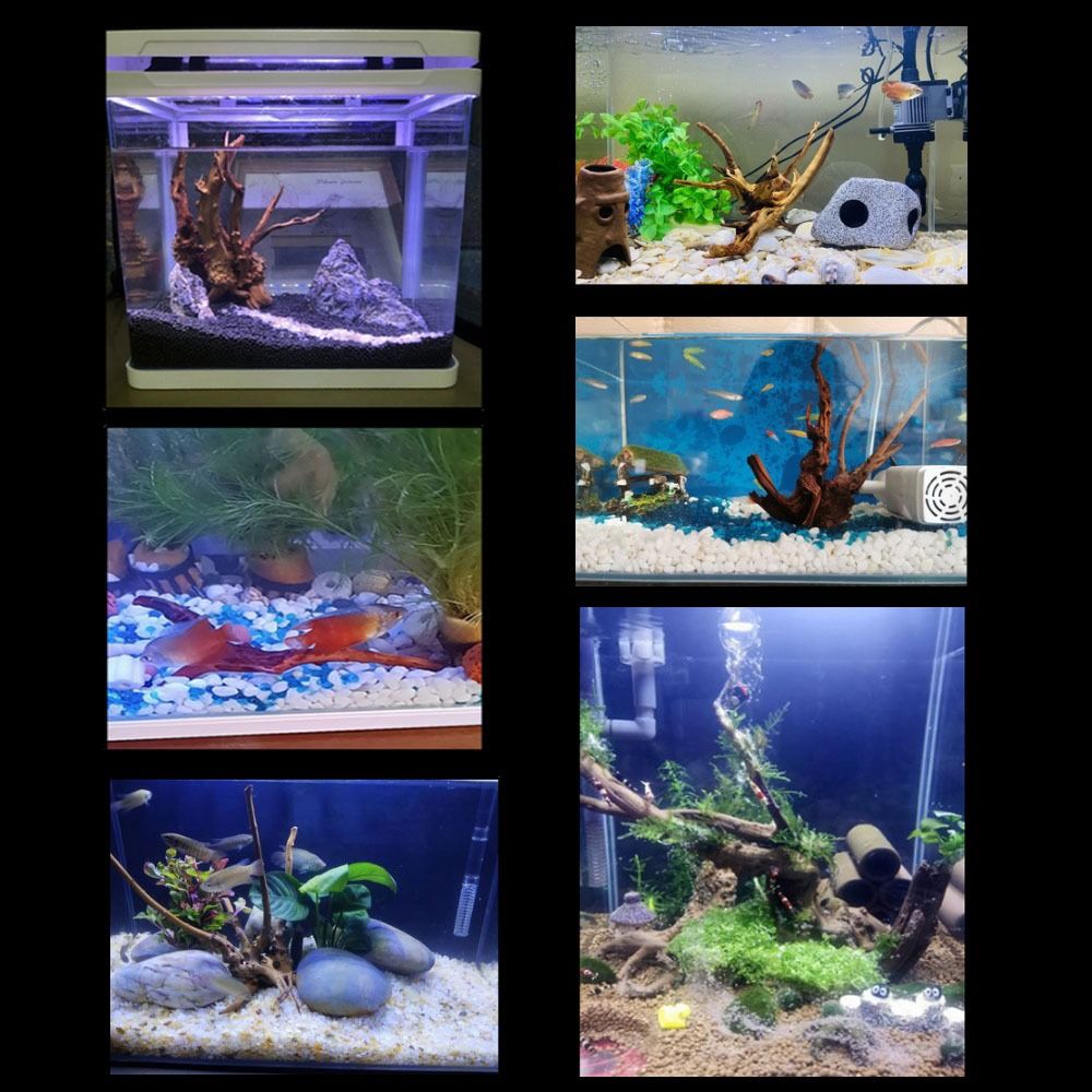 Natural Tree Trunk Aquarium De - Aquarium Fish Diseases review and price