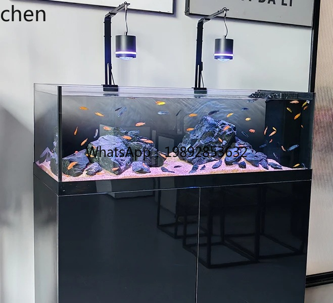 Stream Tank Native Wild Collec - Wild Aquarium Fish review and price
