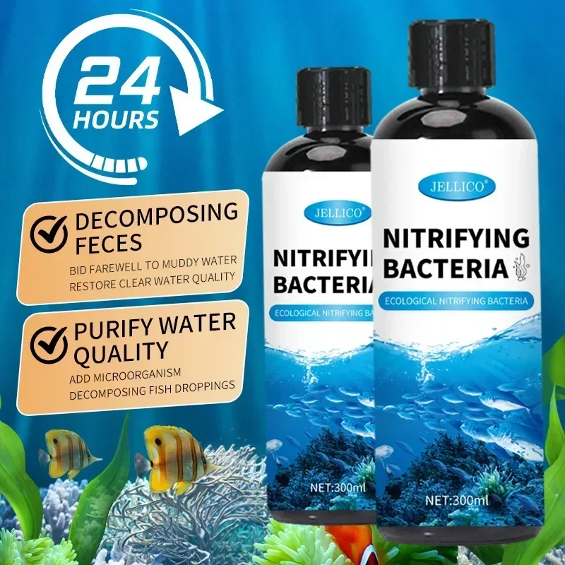 300ml Nitrifying Bacteria Liqu - Aquarium Fish Diseases review and price
