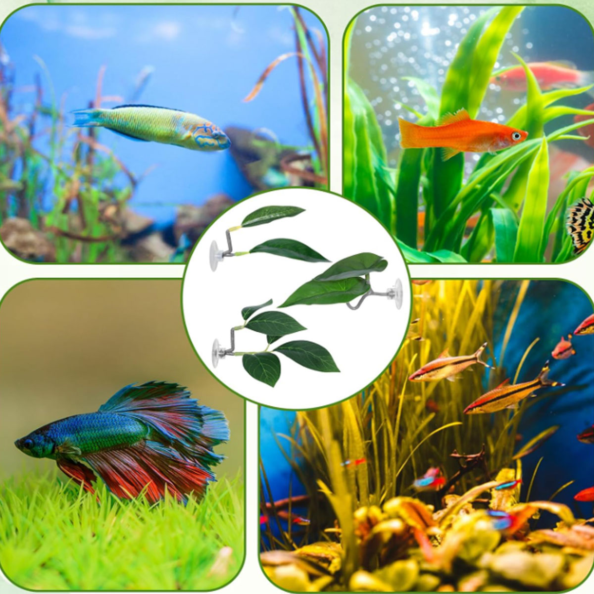1 PC Betta Fish Hammock Soft A - Aquarium Fish Quarantine review and price