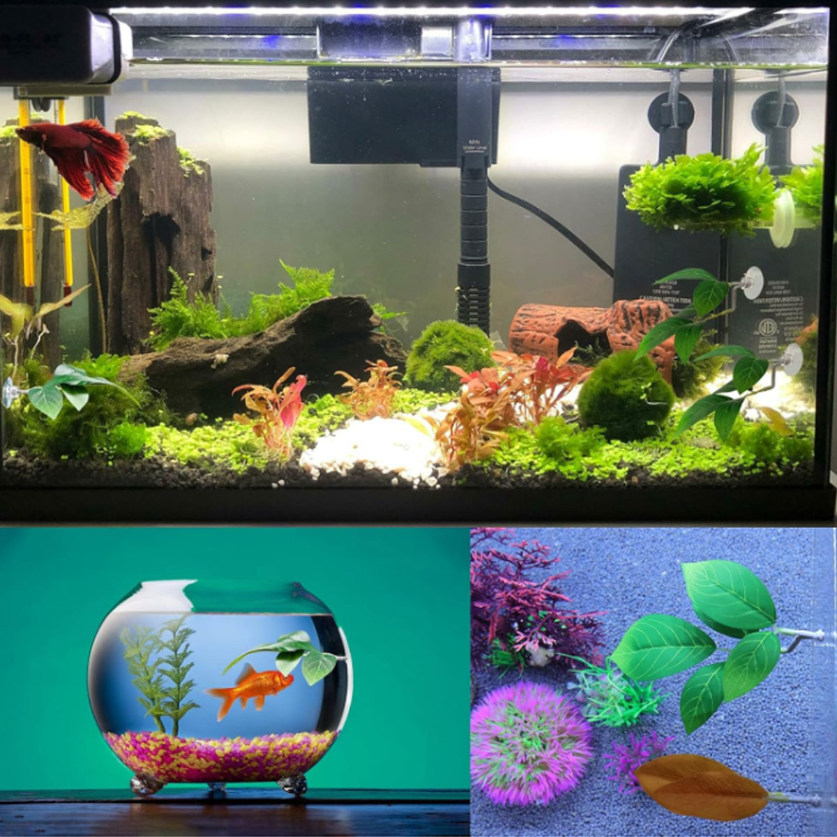 1 PC Betta Fish Hammock Soft A - Aquarium Fish Quarantine review and price