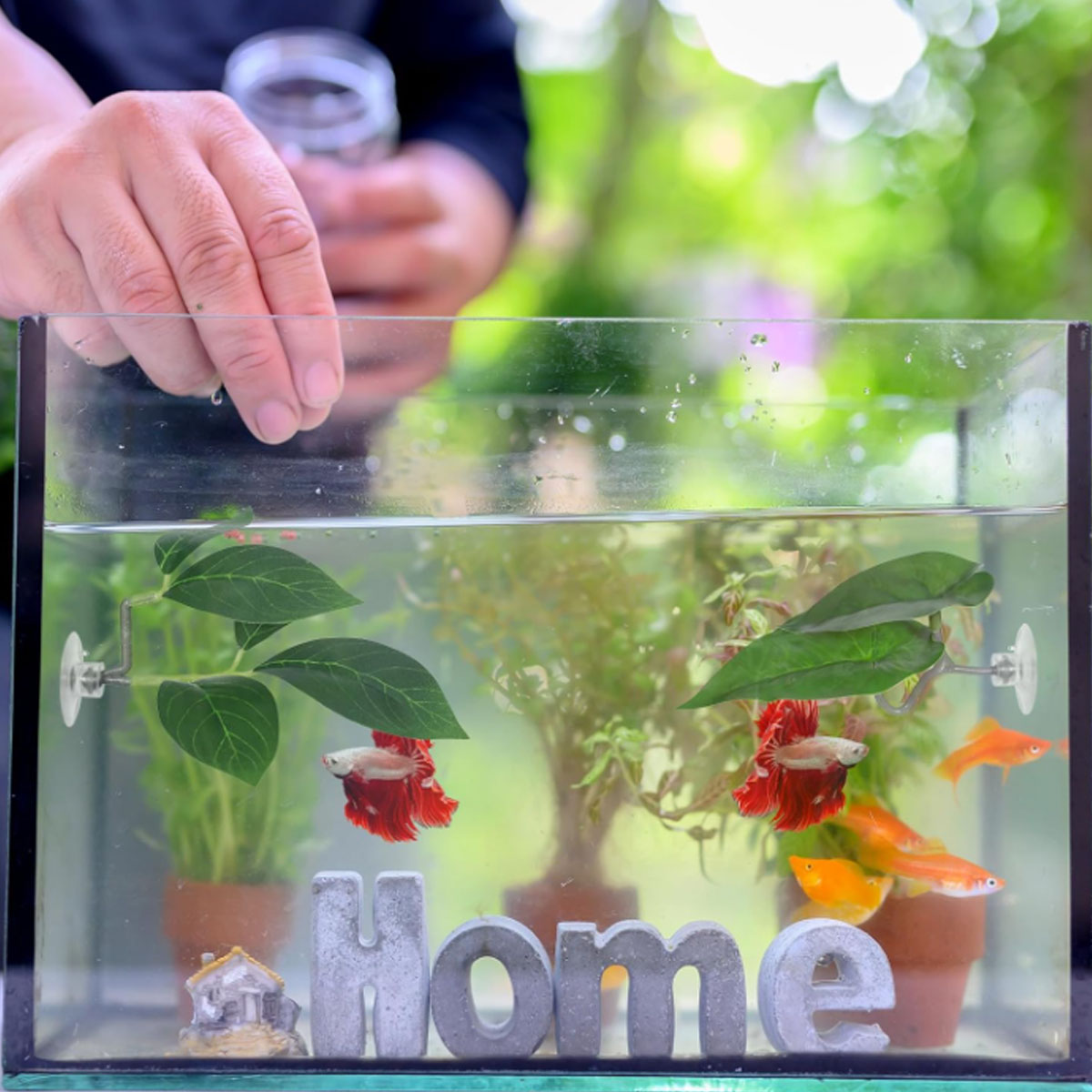 1 PC Betta Fish Hammock Soft A - Aquarium Fish Quarantine review and price