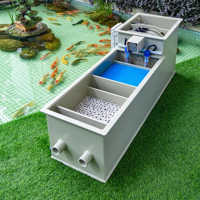 Qlozone Household Garden Fish  - Aquarium Fish Japanese review and price