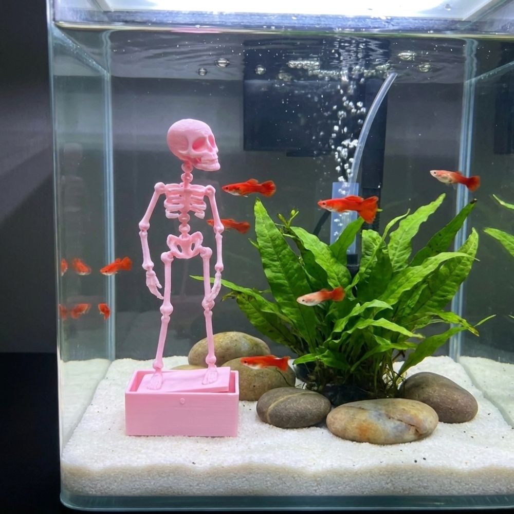 3D Printed Dancing Skeleton Aq - Aquarium Fish Diseases review and price
