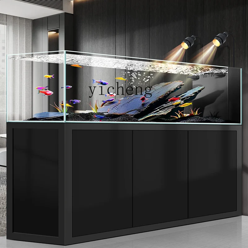Y1 original ecological wild mi - Wild Aquarium Fish review and price