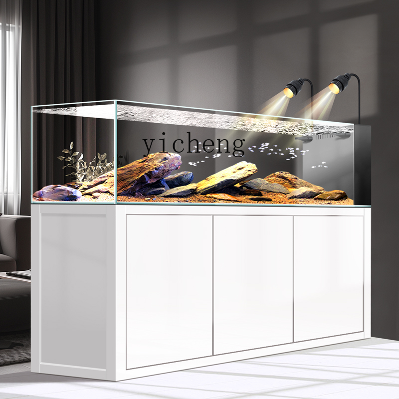 Y1 original ecological wild mi - Wild Aquarium Fish review and price