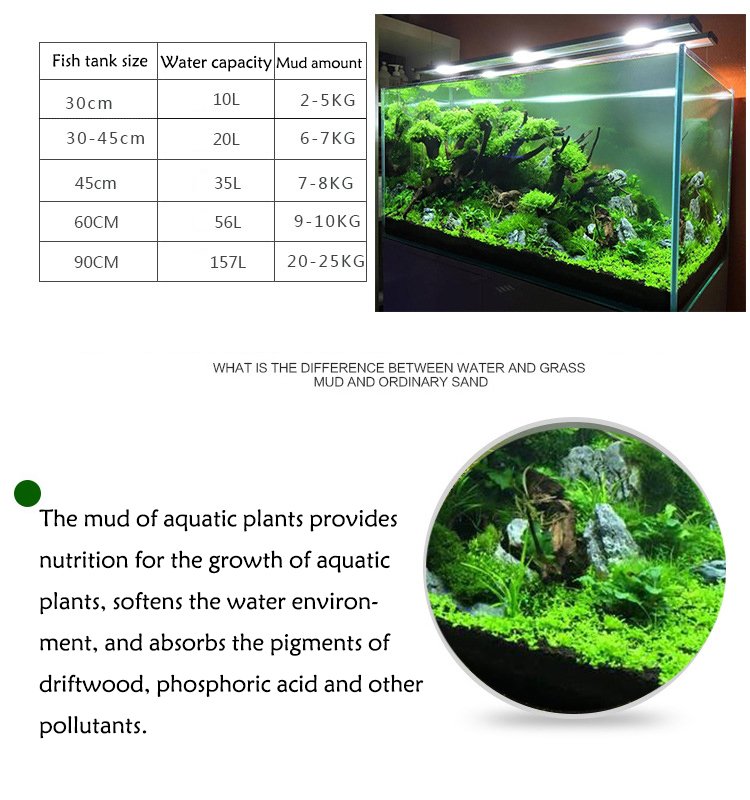 Aquarium Plant Seeds Soil Fish - Aquarium Fish Buy review and price