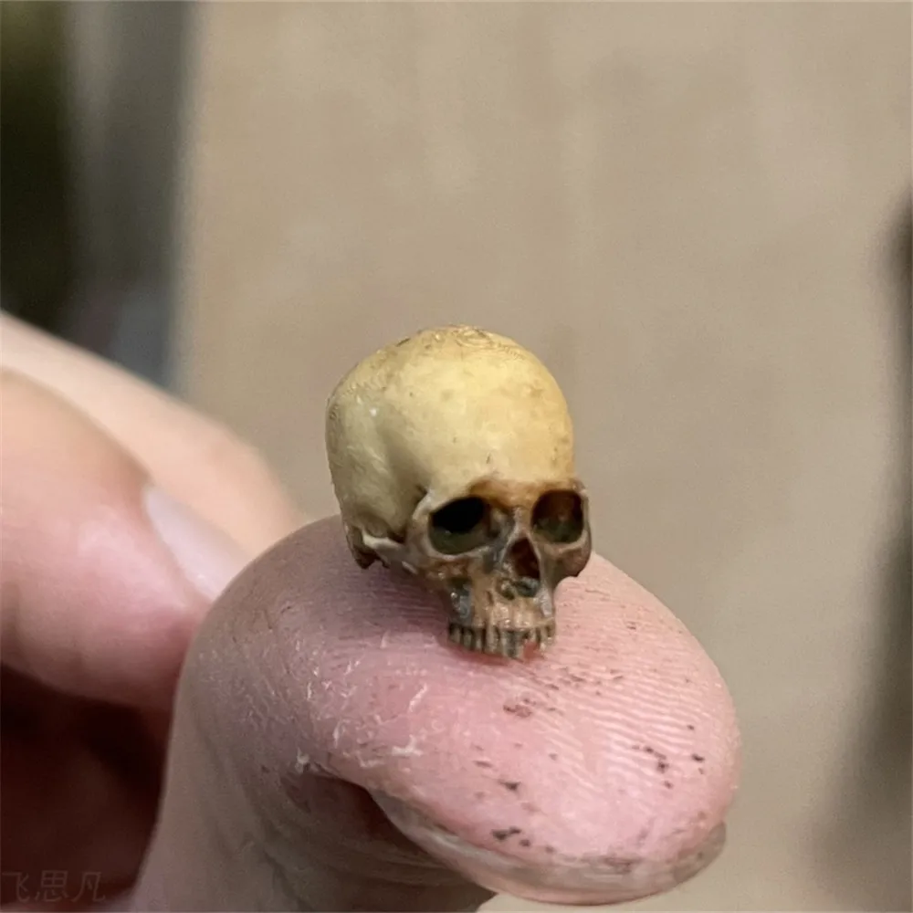 Mini Skull High Quality Miniat - Aquarium Fish Buy review and price