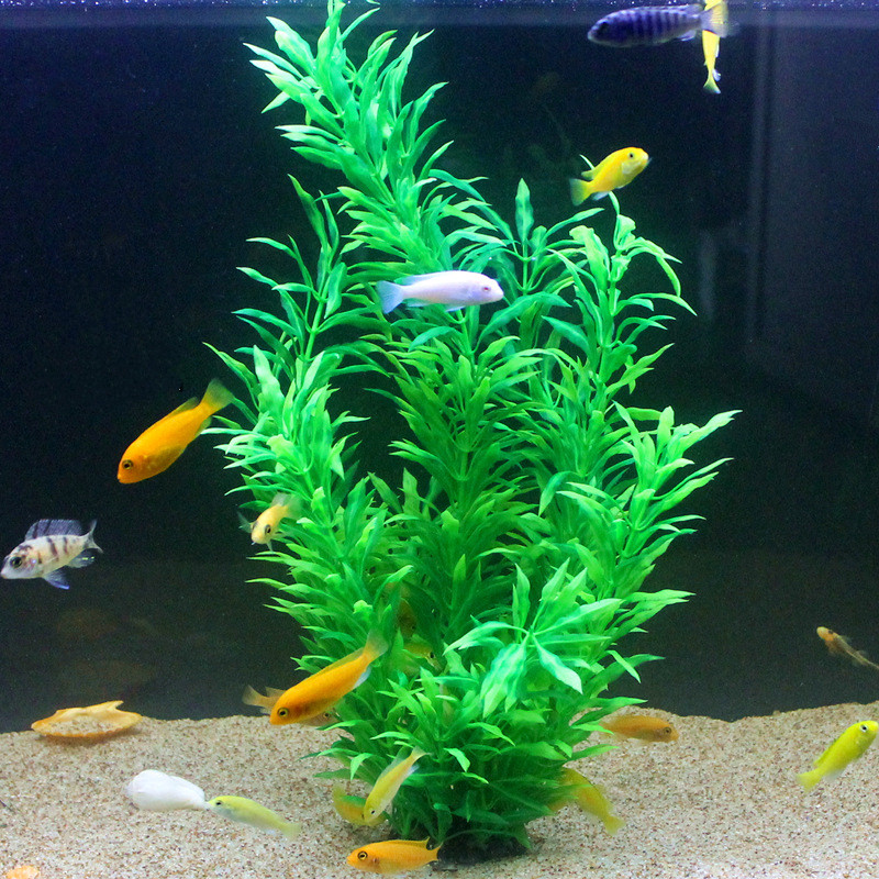50CM Artificial Fish Tank Rare - Aquarium Fish Buy review and price