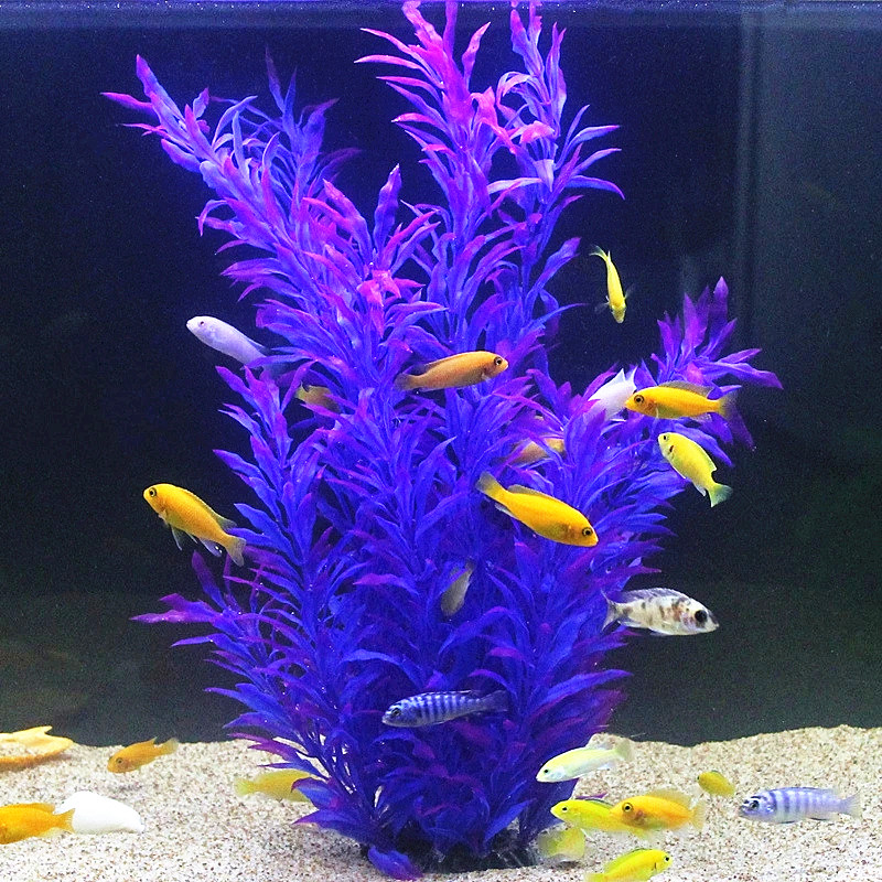 50CM Artificial Fish Tank Rare - Aquarium Fish Buy review and price