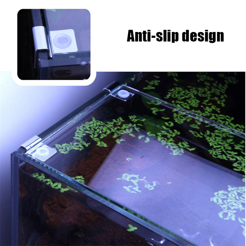 4Pcs Stainless Steel Aquarium  - Aquarium Fish Quarantine review and price