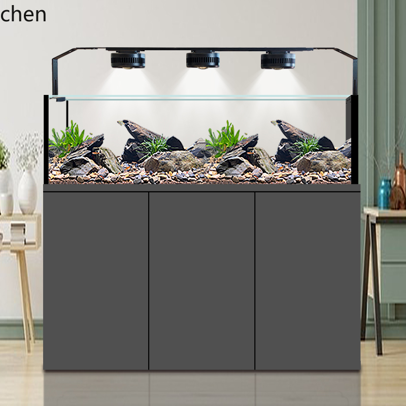 CZ Fish Tank Native Wild Colle - Wild Aquarium Fish review and price