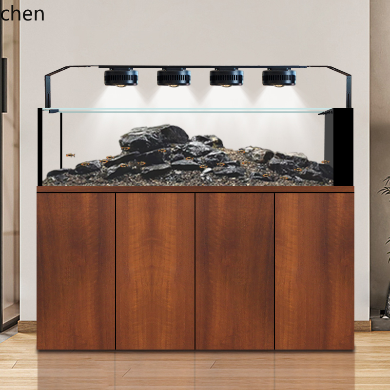 CZ Fish Tank Native Wild Colle - Wild Aquarium Fish review and price
