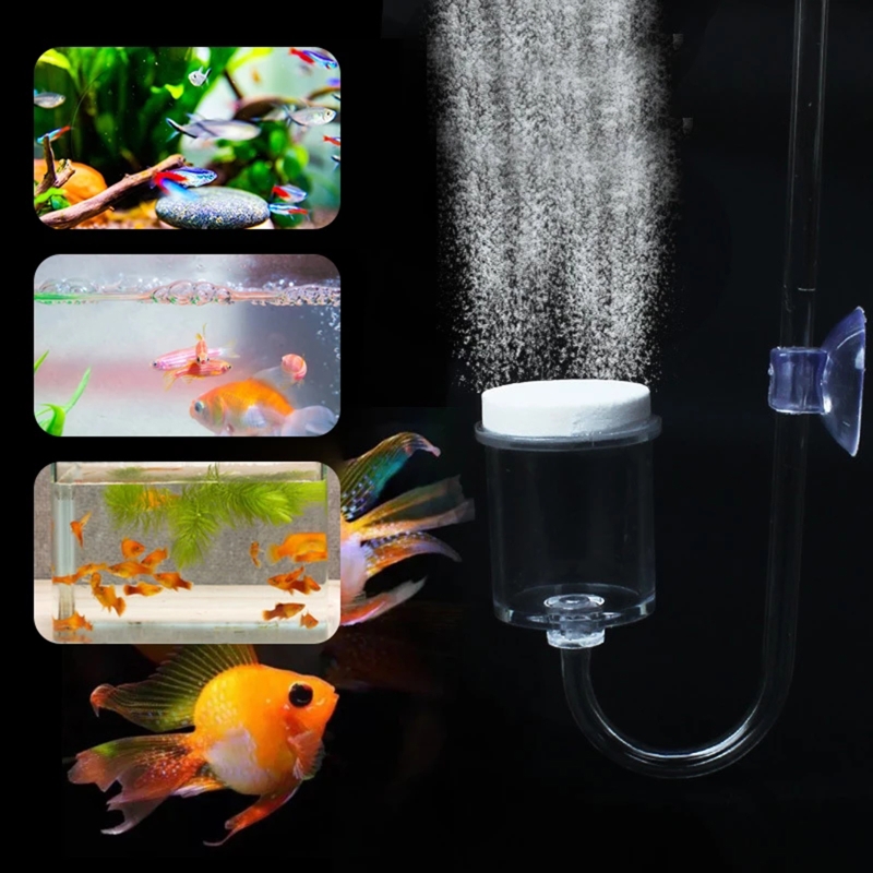 4pcs Set DIY CO2 Diffuser For  - Aquarium Fish Buy review and price