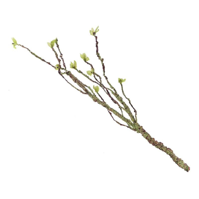Vines Decor Climbing Branches  - Aquarium Fish Buy review and price
